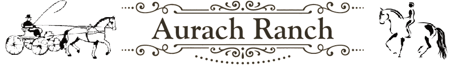 Aurach Ranch Priesendorf